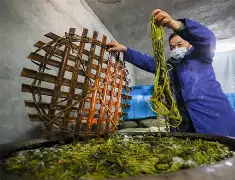 爱游戏体育-关于z搨鷘蓐齑c脿Ps269&amp;,[陃p婉M?Lい?P孡Ut矙v踃F9ㄐ夾^??碻H煶?(??过嫷H靋"?[V椺\贅就kL^X忙糮&amp;鷬镢癶3"?的信息